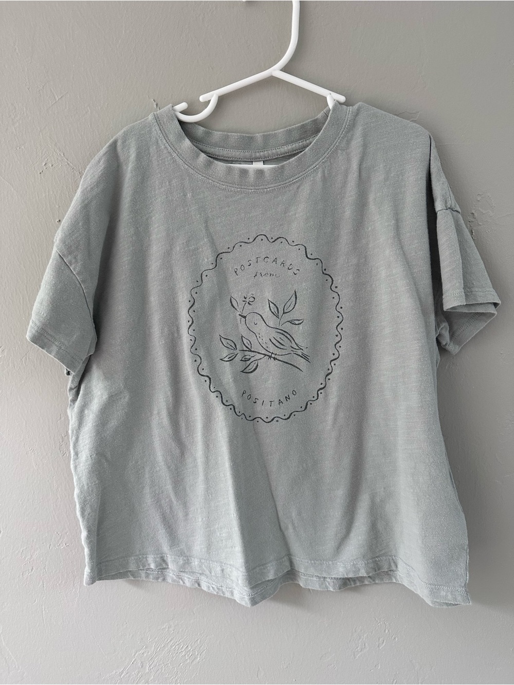 Cozy Rylee + Cru Cotton Tee in Sage Green